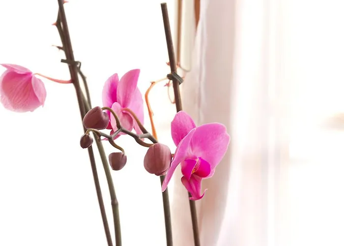 Angelika Sankt Anton am Arlberg